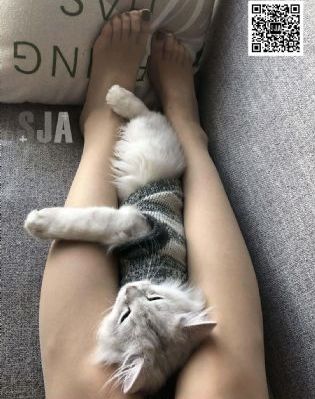 妈妈的朋友8在线_日韩资源完整版BD高清中字
