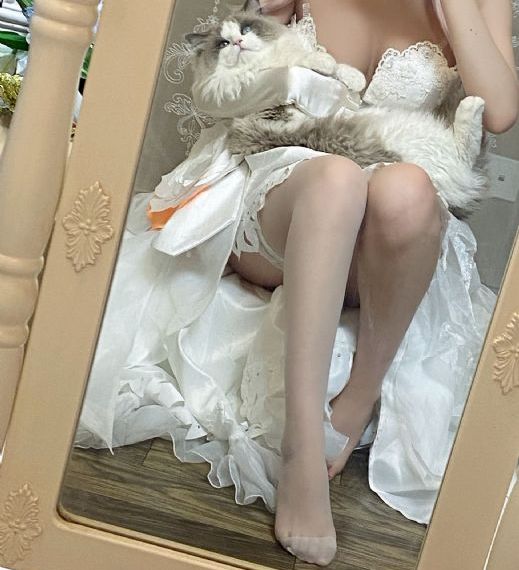 修真者_BD免费观看超清