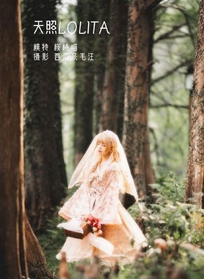 在线观看日本高清mv视频_BD英语手机在线观看
