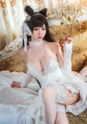 不道德公会动画第一季_BT磁力天堂日韩在线观看